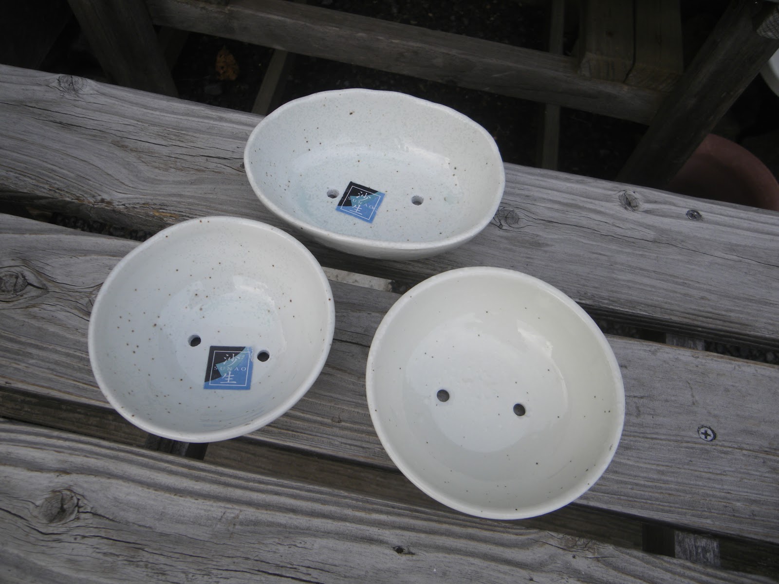 100円ショップ(百均)の陶器に穴を開けて、ミニ盆栽の鉢にする|メダカの大工